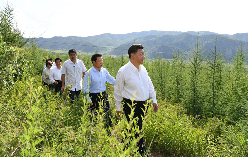 7月15日至16日,中共中央总书记、国家主席、中央军委主席习近平在内蒙古考察并指导开展“不忘初心、牢记使命”主题教育。这是15日下午,习近平在赤峰市喀喇沁旗马鞍山林场林区,沿着崎岖的护林小道察看林木长势。