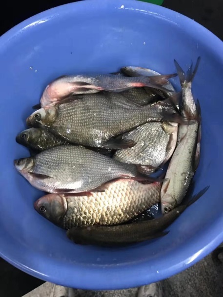 台湾a片